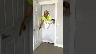 Building a Secret Room For My Dog