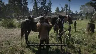 Red Dead Redemption II Mini slice
