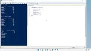 14  Customized PoweShell admin tool