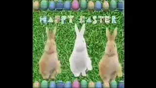 Happy easter day everyone ￼