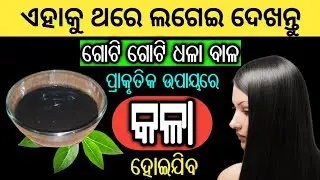ପ୍ରାକୃତିକ ଉପାୟରେ ଧଳା ବାଳ ଘରେ ବସି କଳା କରନ୍ତୁ | Natural Black Hair Dye Colour at Home in Odia
