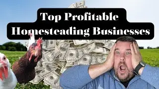 Top Homestead Business Ideas Revealed