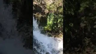 Водопад, деревня Камышная💦☀️