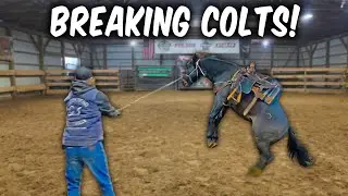 The Creekbend Boyz Break 2 New Horses!