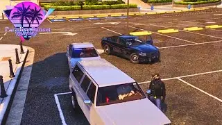 Epic Police Pursuits & Civilian Shenanigans - GTA RP PSRP #2