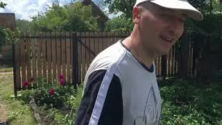 Подарок от мужа на 12 лет совместной жизни/Огород/Коптим курицу в огороде:)