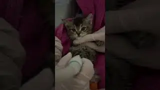 На чиле-на раслабоне