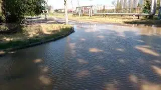 Когда лужу не обойти