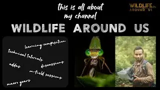 This is all about my channel , Wildlife Around Us : A Platform Dedicated to Macro Photography