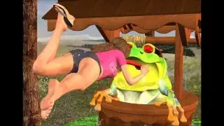 The Frog in the well