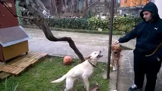 Microsoft Lumia 930 slow motion
