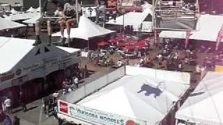 Oregon State Fair 2010