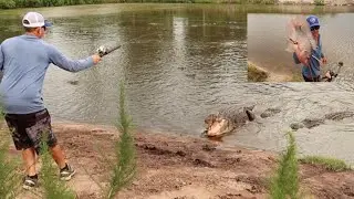 Bow Fishing for BIG Tilapia and Feeding MASSIVE Gators! **INSANE** (ft. Catch Em All Fishing)