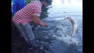 How NOT to leader a tarpon feat. KoS M.... tarpon fail!! LOL