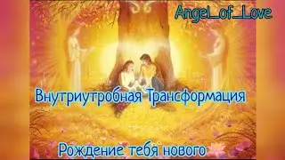 Внутриутробная трансформация / Рождение тебя нового ✨🙏