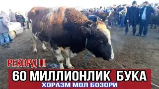 МАНА 60МЛН ЛИК БУКА ХОРАЗМ УРГАНЧ МОЛ БОЗОРИ