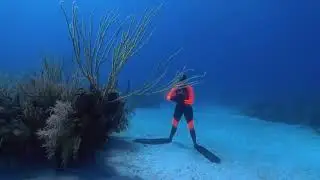 Dünya Sualtı Dalış Rekortmeni Türk Dalgıç 
