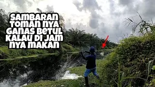 KALIAN PERLU TAHU WAKTUNYA CASTING TOMAN, BIAR DAPAT SAMBARAN!!