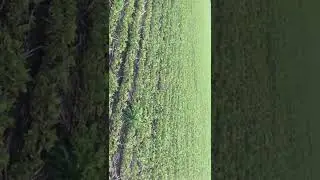 Завжди корисно почути думку колег