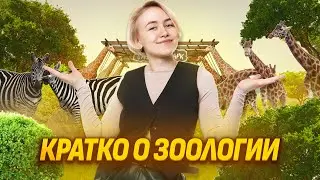 Зоология простыми словами | Летняя биология в Умскул