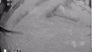 Crashes are cool