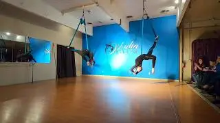 The Unlikely Hangle Berries (Hammock) - 2019 Ophidia Winter Showcase