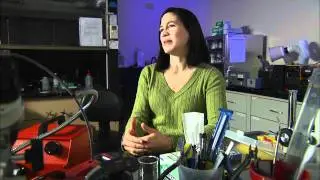 How to Be a Scientist