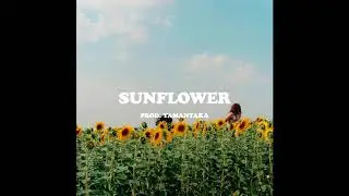 FREE Sunflower- Anderson .Paak X Mac Miller X Tyler The Creator Type Beat | Prod. Yamantaka
