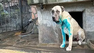 VURGUN DURUMU DAHA KÖTÜ OLDU