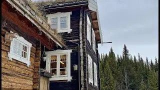 Høvda Sylv og Tre
