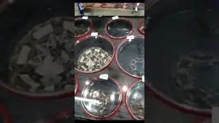 Feira com serpentes venenosas 