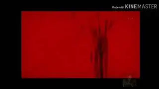 Mirai Nikki amv