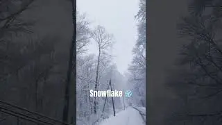 Snowflake ❄️ are Amazing!!