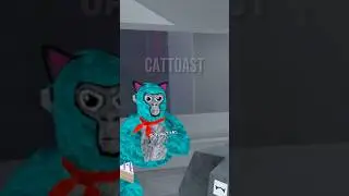 Cats!! 