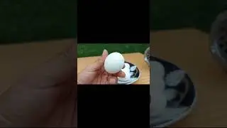 Meat Grinder Vs Eggs! Experiment