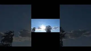 #youtube #youtubeshorts #funnyshorts #instagram #funny #laugh #naturelovers #lol