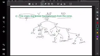Carnie (2021) The Syntax Workbook 2E, Exercise WBE3.6
