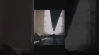 #рекомендации