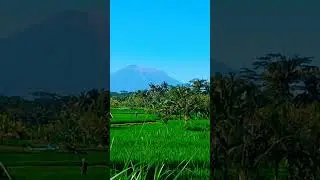 Bali islands