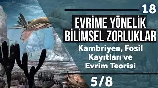 Kambriyen, Fosil Kayıtları ve Evrim Teorisi 5/8 (Türkçe Altyazılı)