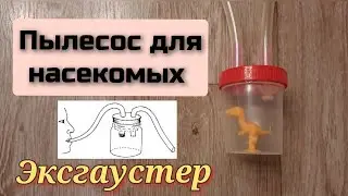 Эксгаустер для насекомых своими руками. 