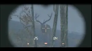 theHunter Classic - Expect The Unexpected!!