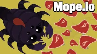 CARNE DE GRAÇA - Mope.io