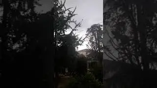 Pre Diluvio 1 luglio