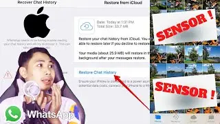 Begini Cara Mengembalikan Foto & Video WhatsApp iphone Yang Terhapus Terbaru !