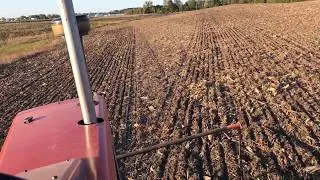 Allis Chalmers 190XT Planting Winter Rye