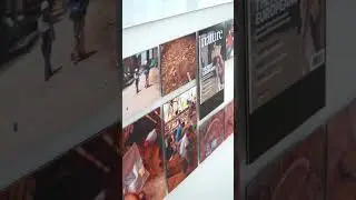Exposición Homo antecessor