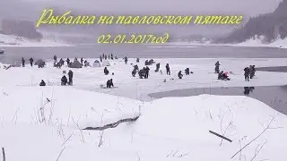 Рыбалка на Павловском водохранилище,ловля окуня на пятаке.