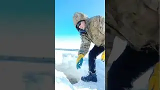 Как ловят налима Северяне зимой! Якутия! #fishing #ловляналима #рыбалка #bigfish  #burbot #fish