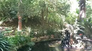 Una tarde en La Concepción (II)